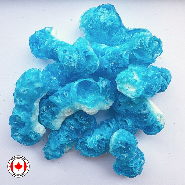Freeze-dried Gummy Sharks