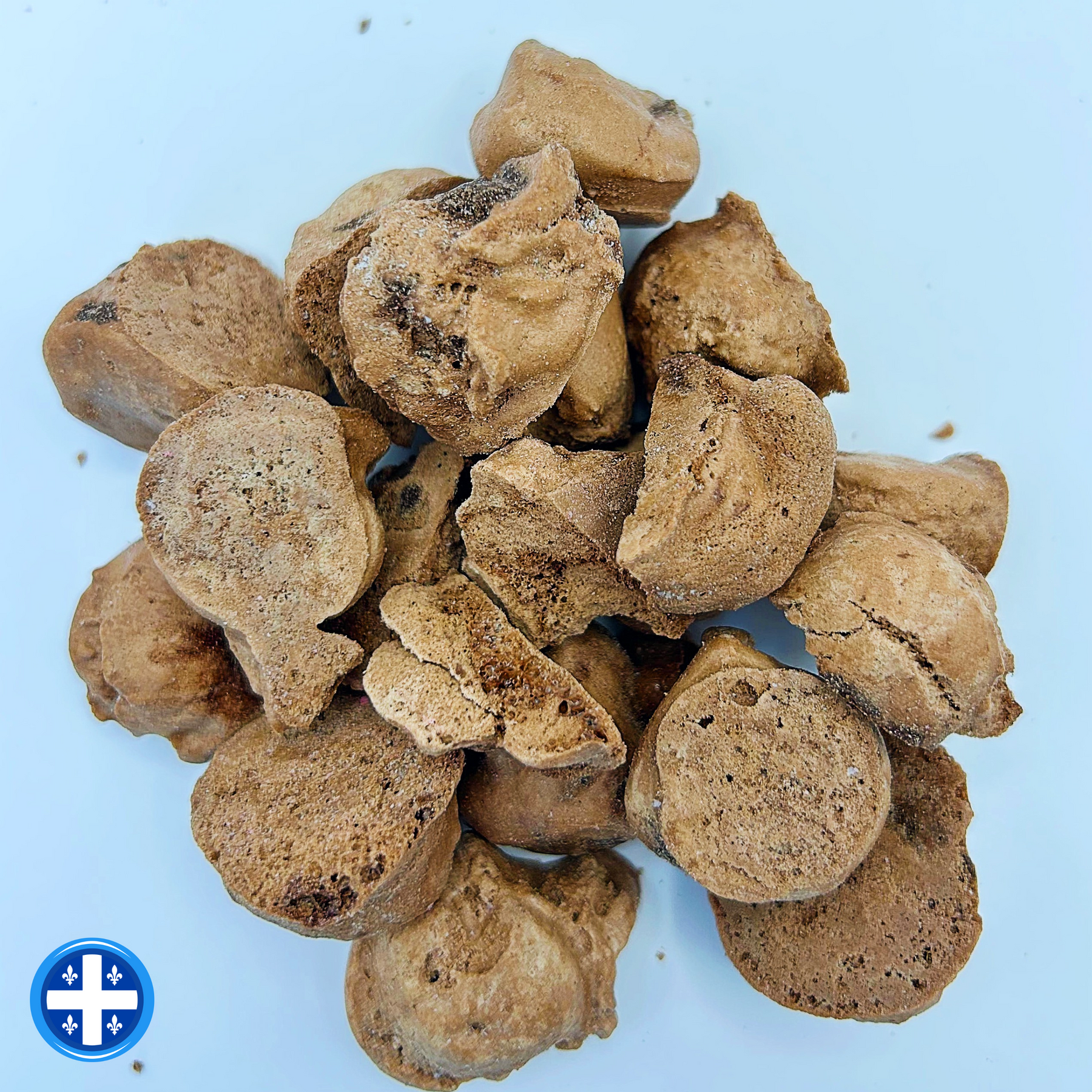 creme-glacee-lyophilisee-chocolat