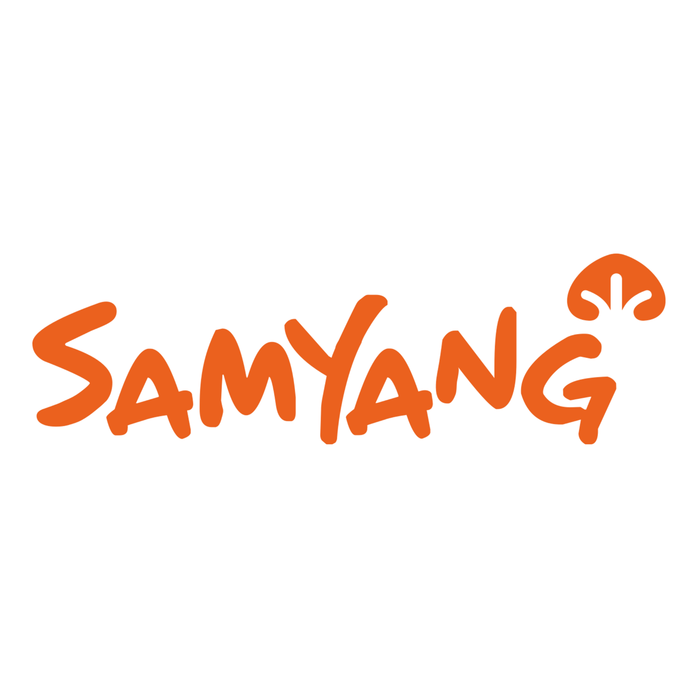 Samyang Buldak Ramen